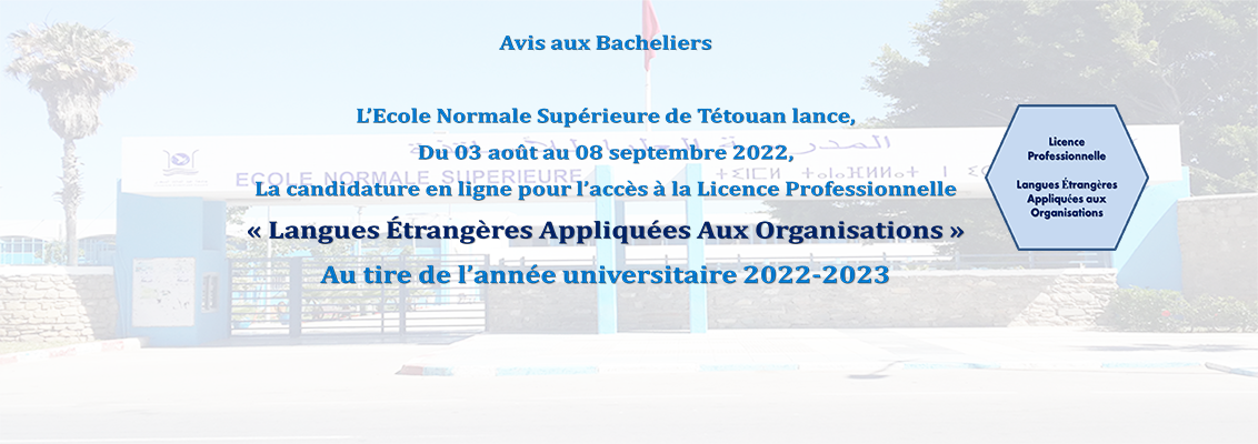 Candidature en ligne pour l’accès à la Licence Professionnelle « Langues Étrangères Appliquées Aux Organisations » 2022-2023